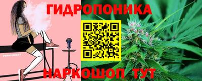 a pvp Моздок
