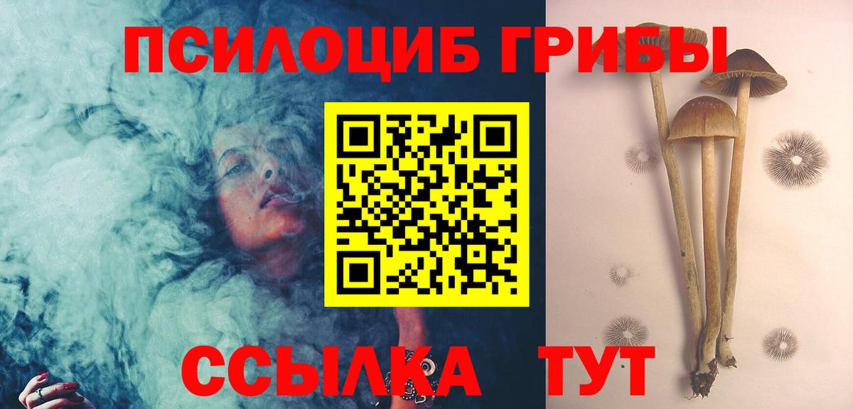 Галлюциногенные грибы Magic Shrooms  Вход с VPN  Псилоцибиновые грибы MAGIC MUSHROOMS  Волгоград 