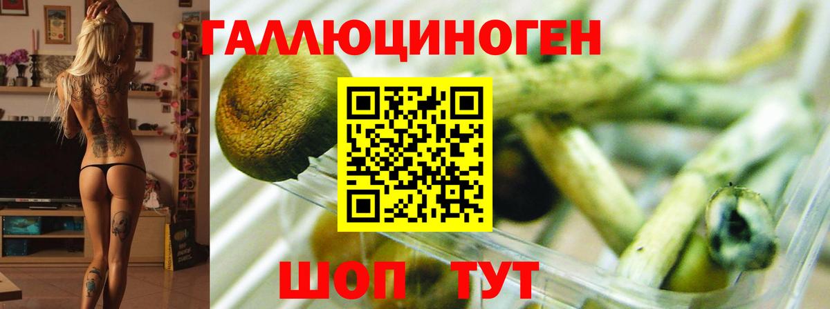 Галлюциногенные грибы Magic Shrooms Волгоград